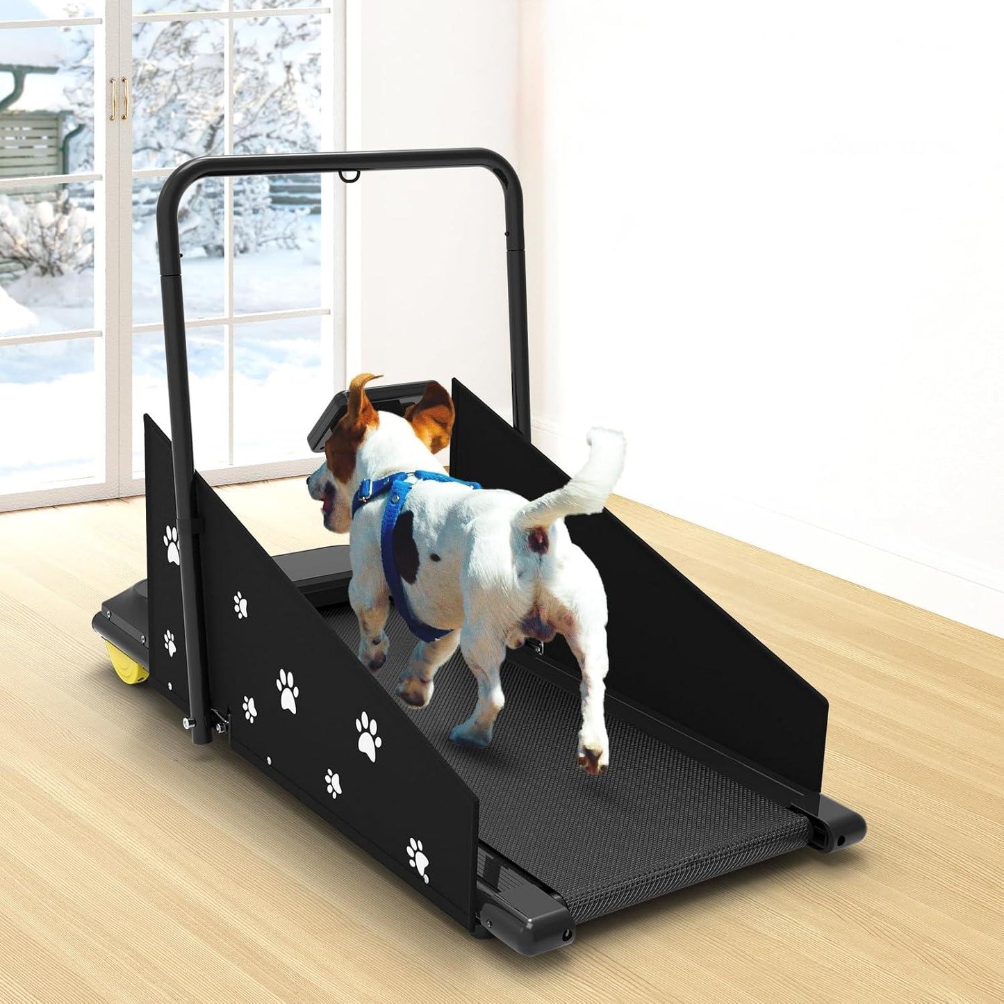 Treadmill for S/M-Size Pets #JK08F