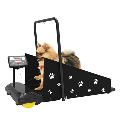 Treadmill for S/M-Size Pets #JK08F